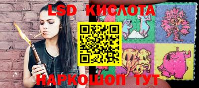 спиды Сланцы