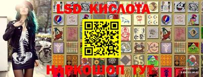 спиды Сланцы