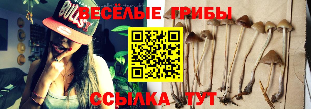 Галлюциногенные грибы ЛСД  Вход с VPN  Нурлат  Псилоцибиновые грибы мицелий 